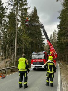 Read more about the article TH 1 – Crottendorf – Baum droht zu fallen
