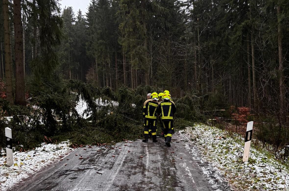 Mehr über den Artikel erfahren Th klein – Crottendorf – Baum über Straße