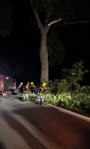 Mehr über den Artikel erfahren Th klein – Crottendorf – Ast auf Straße