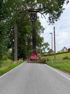 Mehr über den Artikel erfahren Th klein – Crottendorf – Ast droht zu fallen