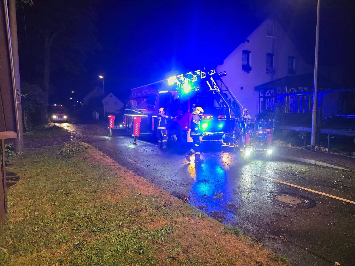 Du betrachtest gerade Th klein – Neudorf – Baum in Stromleitung