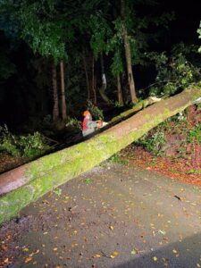 Mehr über den Artikel erfahren TH klein – Crottendorf – Baum auf Straße