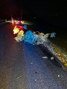 Mehr über den Artikel erfahren TH klein – Crottendorf – Ast auf Straße