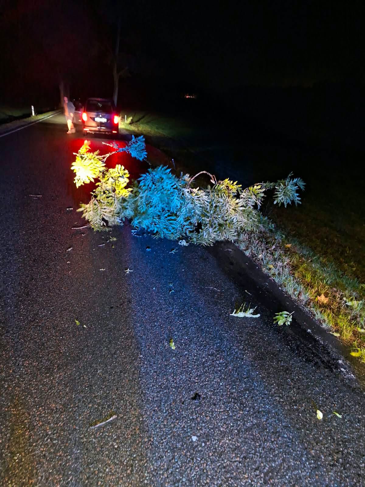 Du betrachtest gerade TH klein – Crottendorf – Ast auf Straße